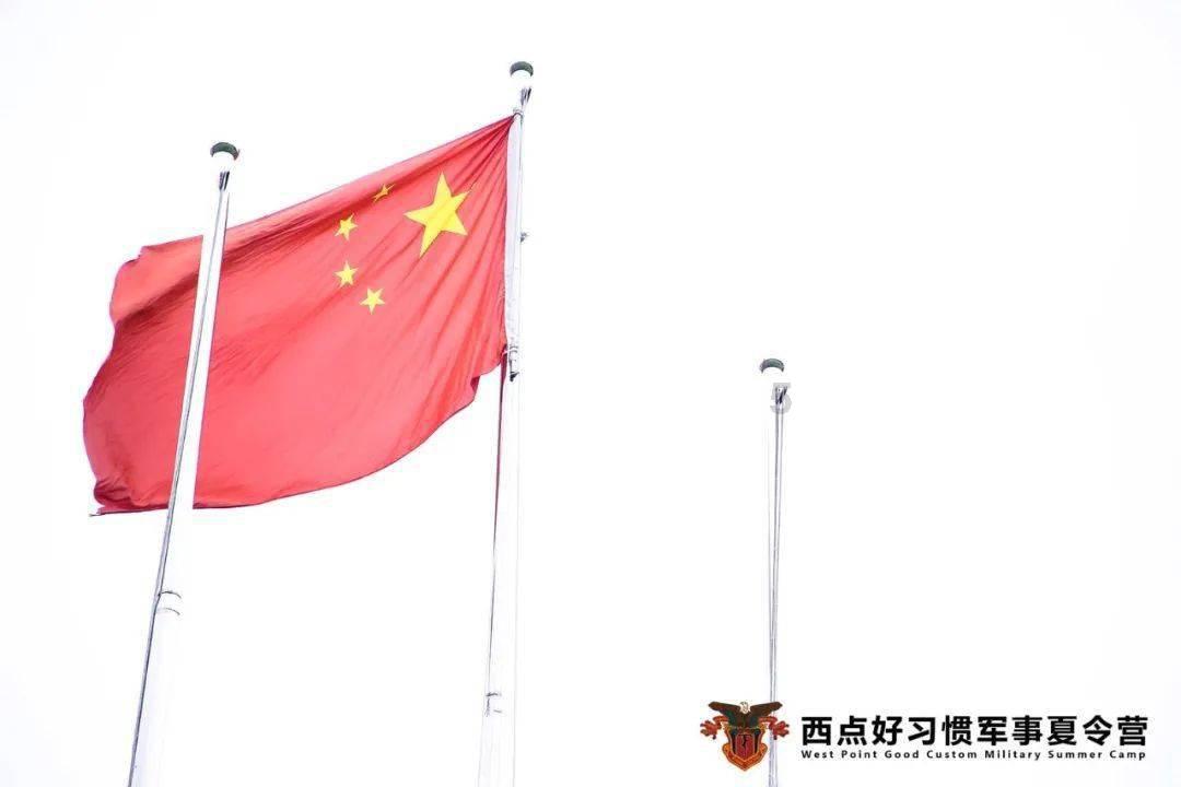 五菱缤果Plus：电动小车的颜值担当，动力性能爆表